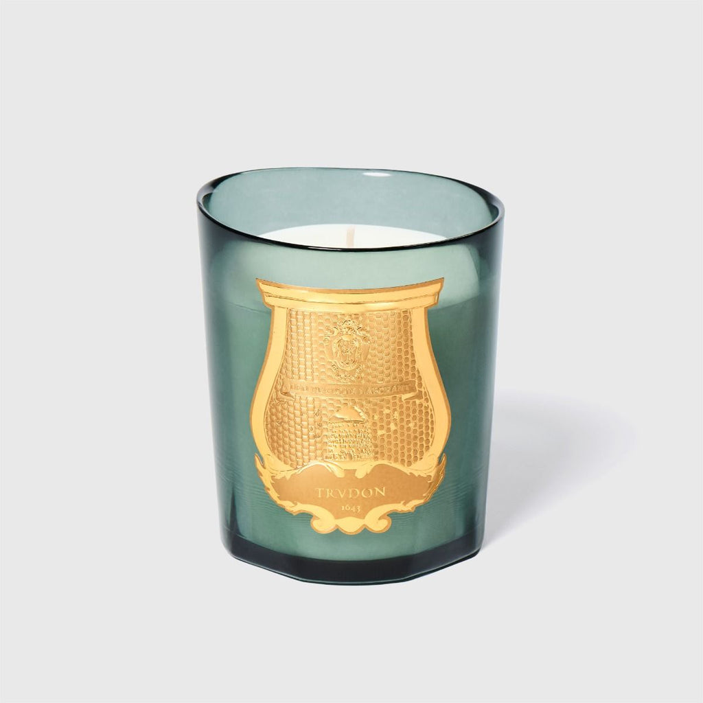 Trudon Figuerie Classic Candle in celadon glass with gold crest