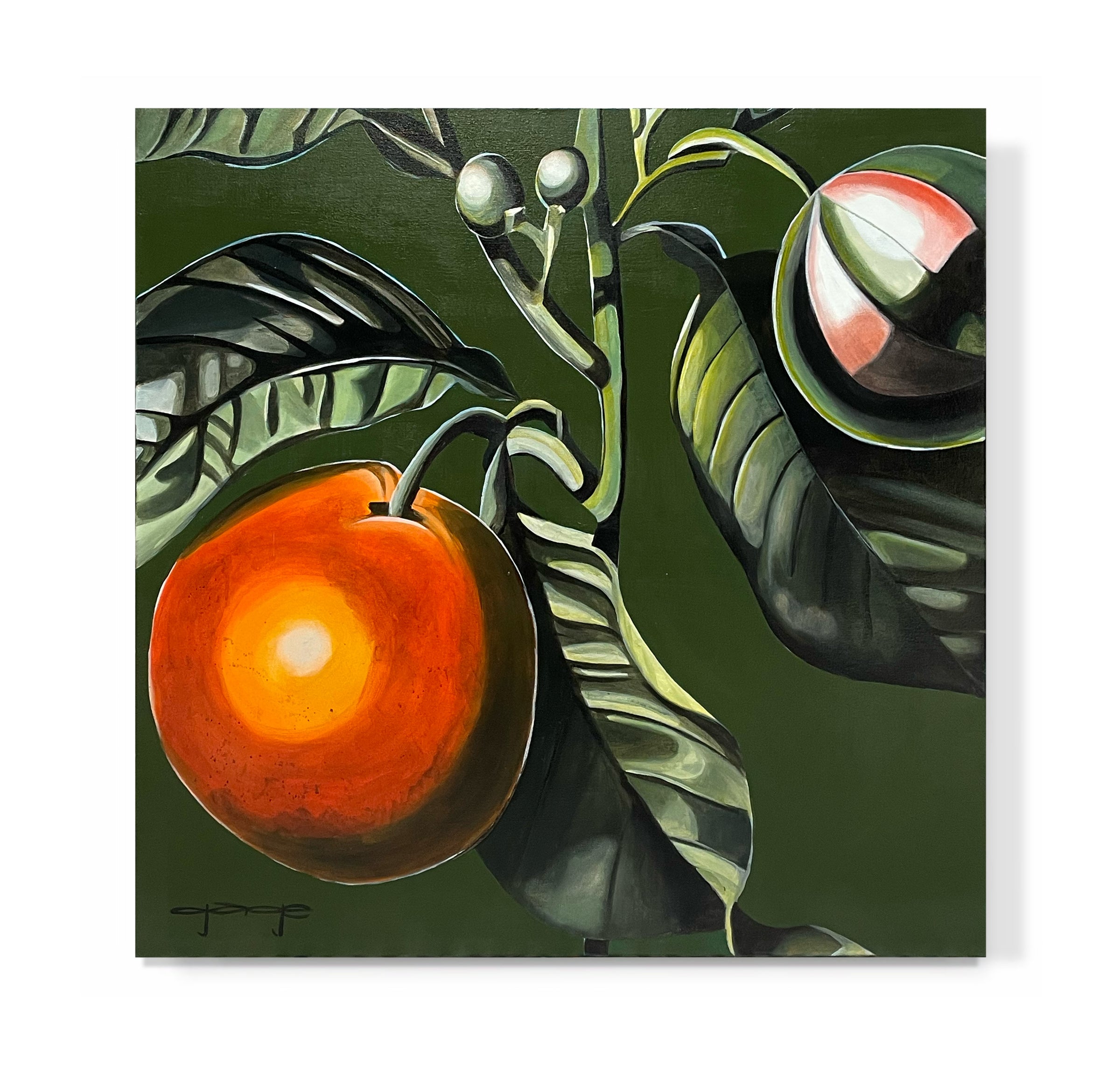 Kathryn Gage Design Supply Shop